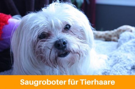 Saugroboter für Tierbesitzer